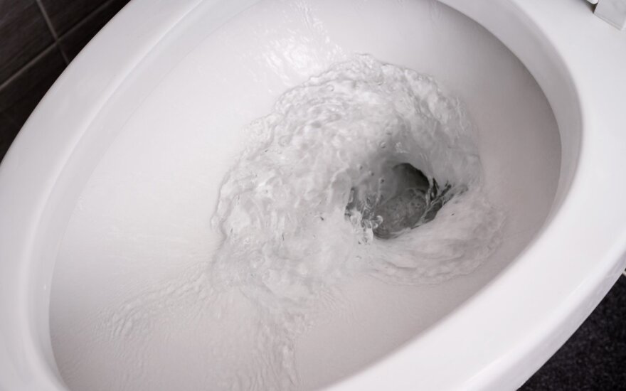 Mitas ar tiesa: ar tikrai tualetuose Australijoje vanduo sukasi į priešingą pusę nei pas mus?