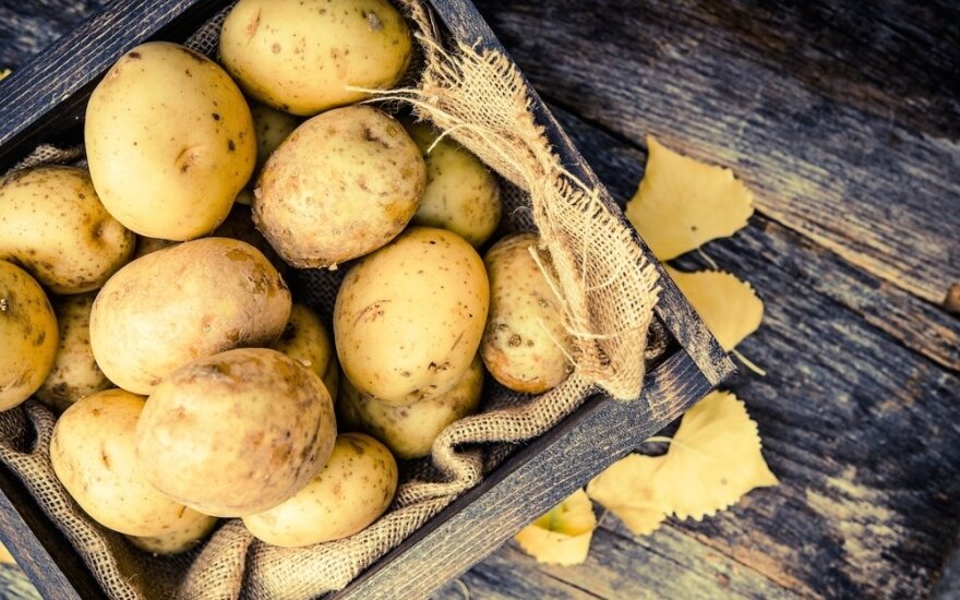5 sandėliavimo klaidos, galinčios sugadinti bulvių atsargas