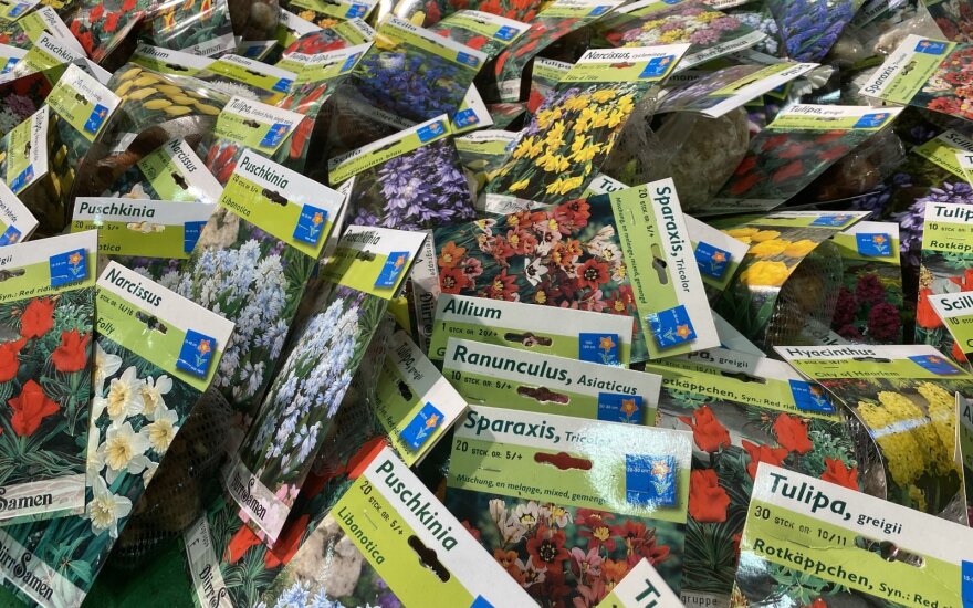 Gėlių kainos Vokietijoje