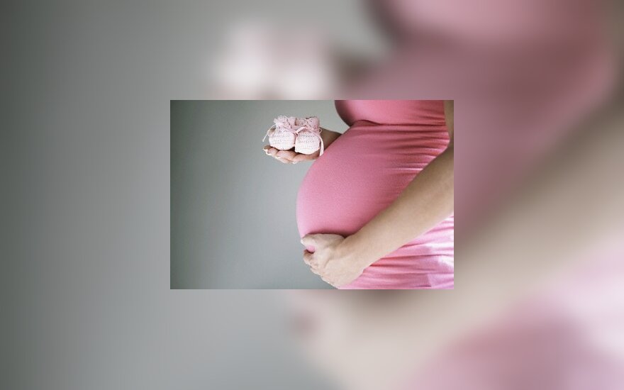 Širvintų r. savivaldybės tarybai įtarimų sukėlė politiko žmonos gaunamos motinystės išmokos