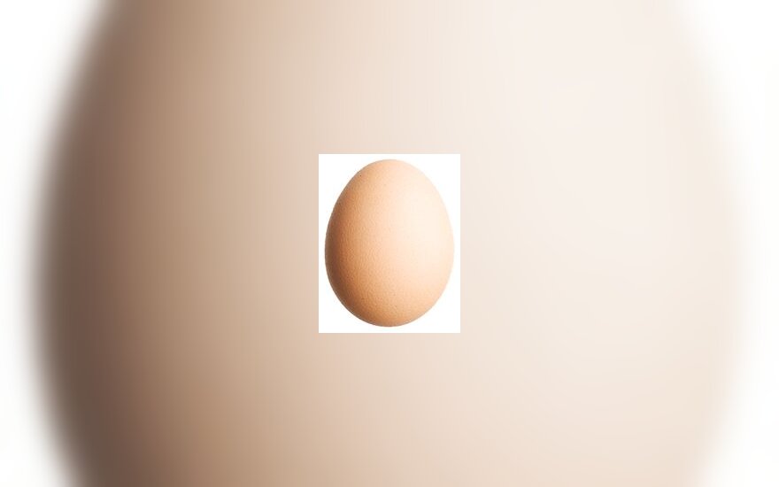 kiaušinis