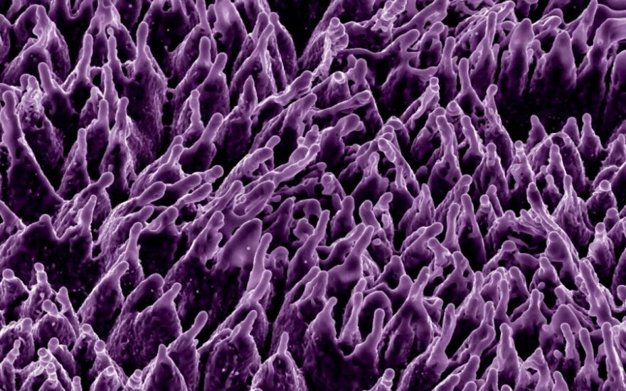 Nanotechnologiniu būdu sukurtas paviršius