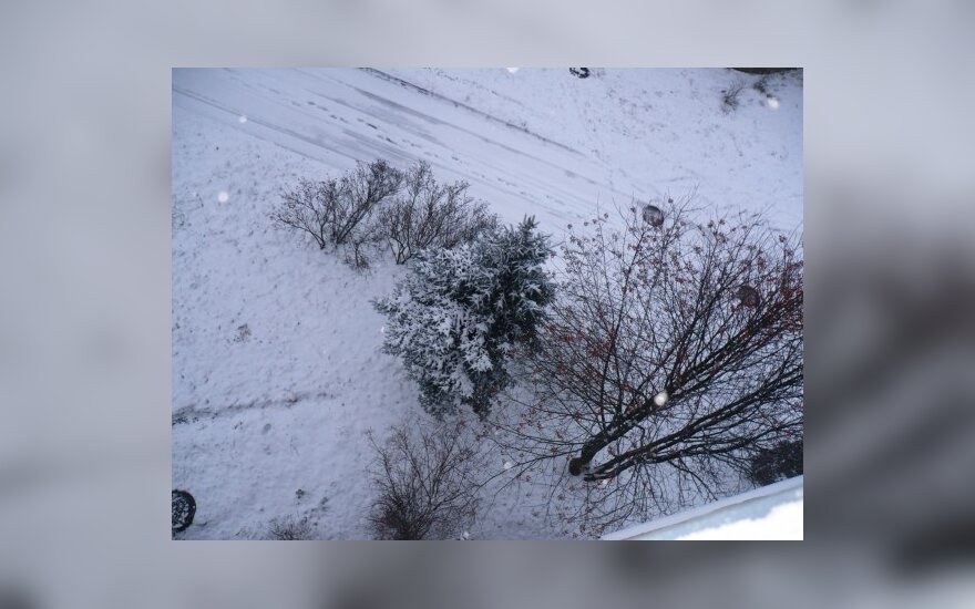Sniegas Mažeikiuose, DELFI skaitytojos Jolantos nuotr.