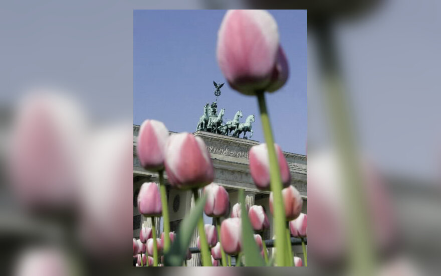 Tūkstančiai tulpių pražydo Berlyne