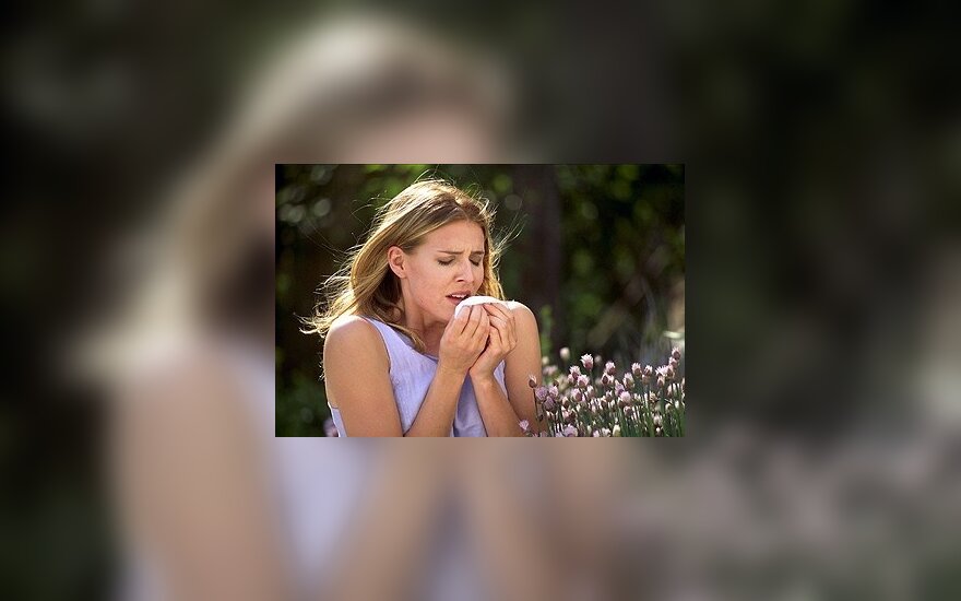 Alerginė sloga, čiaudulys