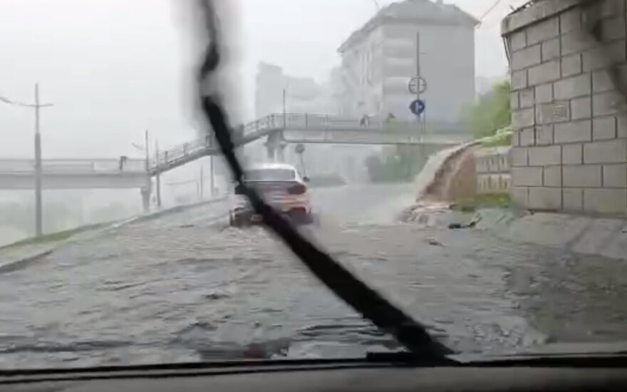 Liūtis Vladivostoke