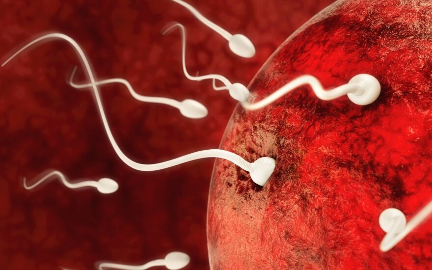 Neprošal žinoti, kiek laiko sperma išlieka gyvybinga po ejakuliacijos