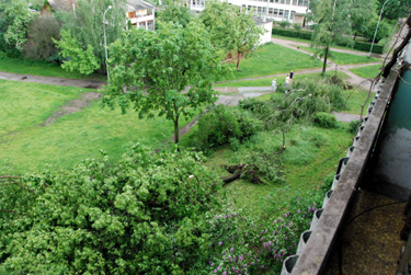 Kiemas Vilniaus Žirmūnų rajone po audros