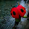 Mergaitė eina su boružės formos skėčiu Varšuvoje