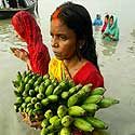 Dievobaimingos indės upėje netoli Kalkutos ruošiasi Saulės dievui aukoti bananus