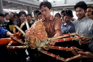 Susirinkę kinai žavisi gigantišku krabu Fuzhou restorane Fujian provincijoje.