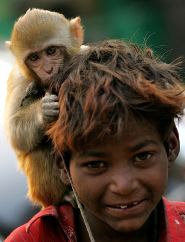 Elgetaujantis berniukas su beždžionėle