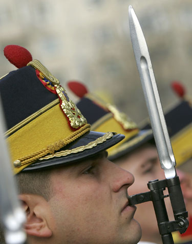 Rumunijos karys