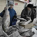 Žmonės perka žuvį Chabarovske, Rusijoje