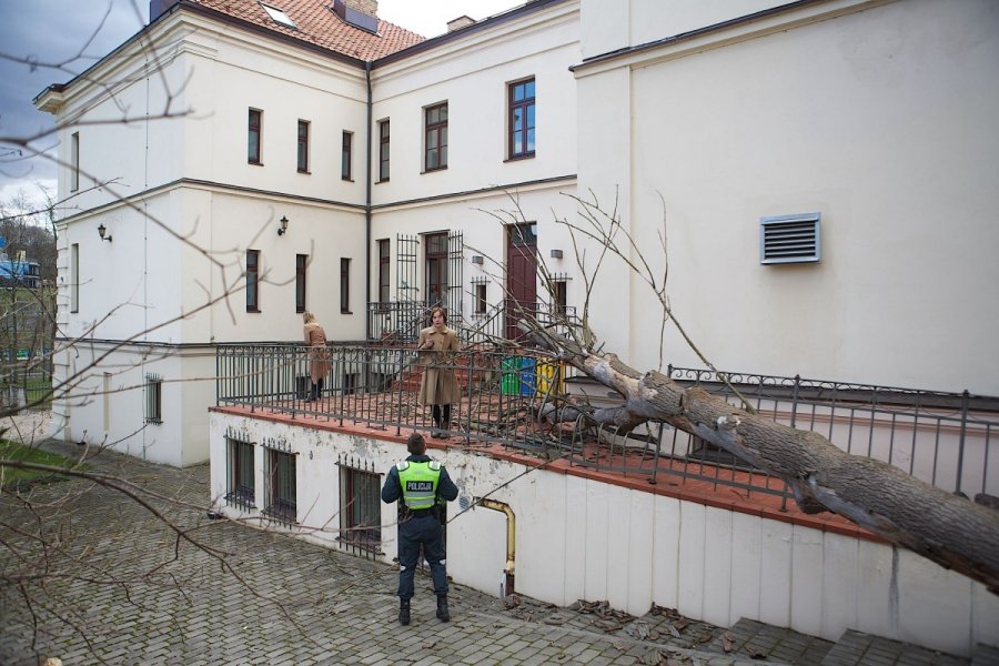 Un albero è caduto sull’ambasciata italiana a Vilnius
