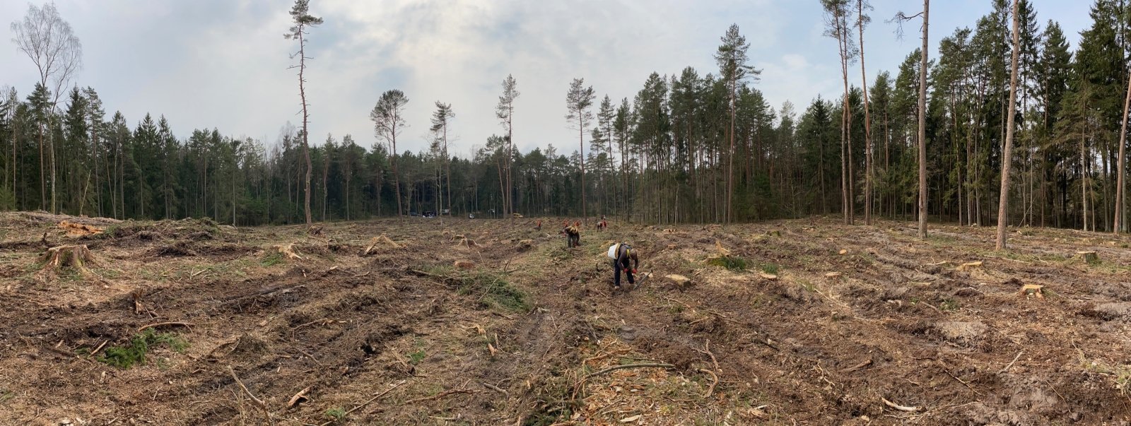 Skogarbeidere er inkludert i listen over manglende yrker.  Hva er mulighetene for å tjene mens du jobber i skogen?