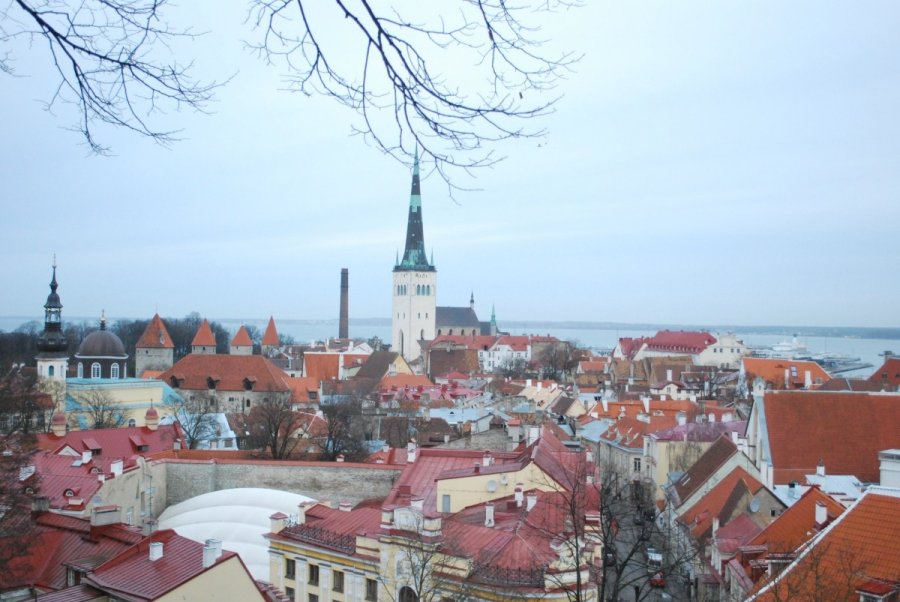 Lithuanian entrepreneurs moving businesses to Estonia in search of better  tax environment 